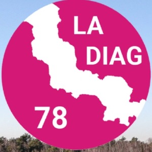 Logo La Diagonale Des Yvelines